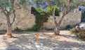 Croatia, Island of Hvar,  - Apartment, for sale